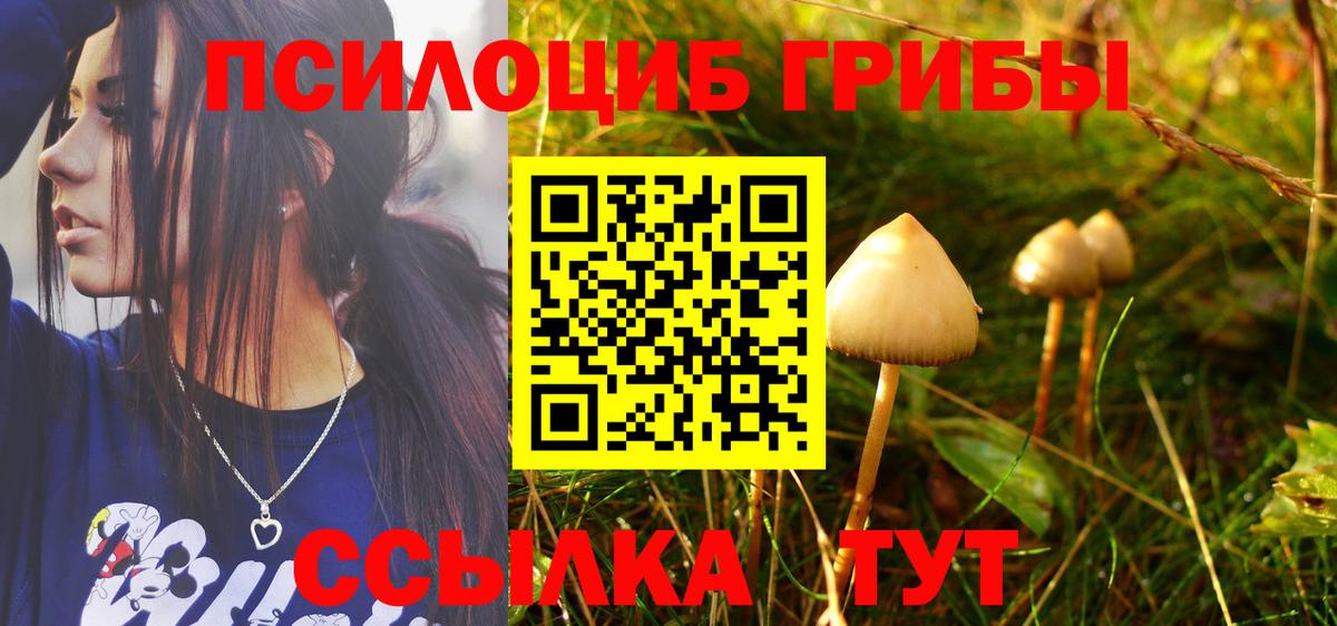 Керчь  Галлюциногенные грибы MAGIC MUSHROOMS  Вход с VPN  Псилоцибиновые грибы мухоморы 