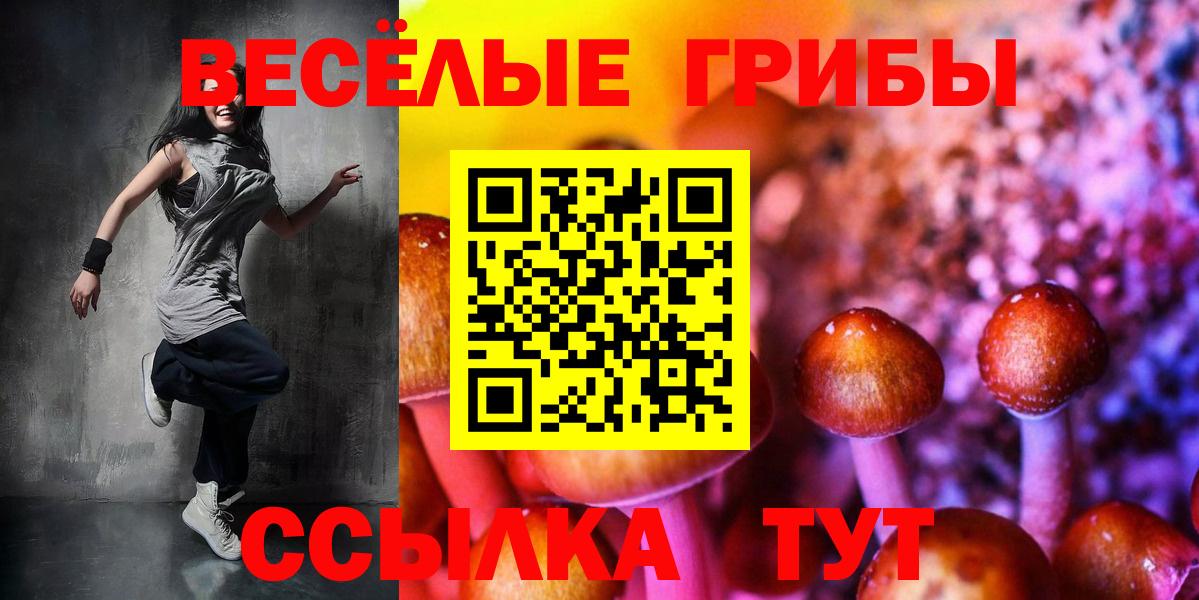 Галлюциногенные грибы Cubensis Керчь